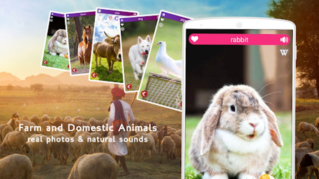 Farm Animal Sounds - Preview 1