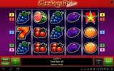 Sizzling Hot™ Deluxe Slot screenshot 9