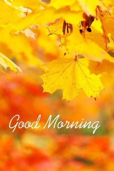 Good Morning Images - Preview 13