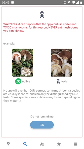 Mushroom Identificator - Preview 8