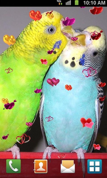 Love Birds Live Wallpaper - Preview 11