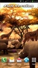 Africa 3D Free Live Wallpaper screenshot 4