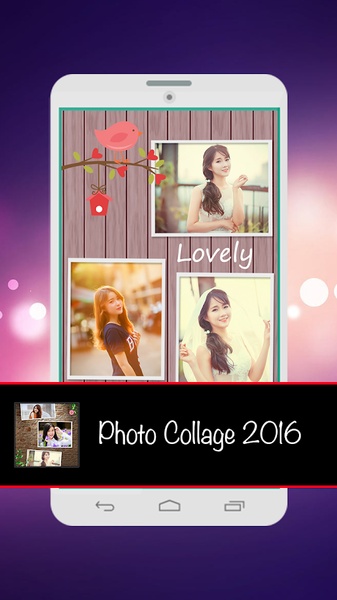 Photo Collage 2016 - Preview 2