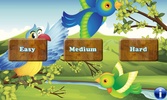 Birds Memory Game screenshot 6