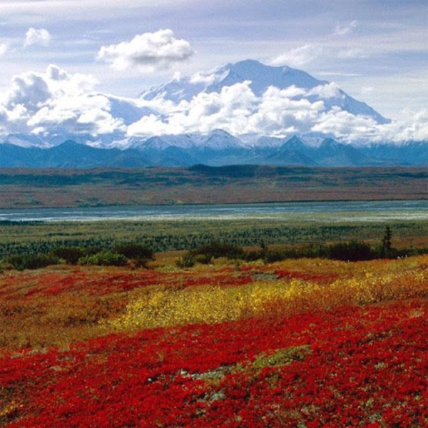 Nature Jigsaw Puzzles - Preview 3