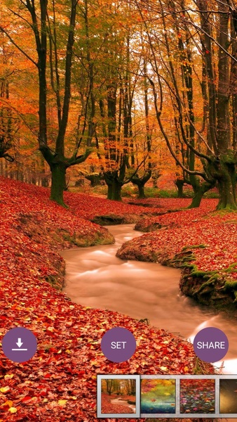 Autumn Wallpaper HD - Preview 9