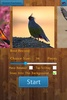 Birds Jigsaw Puzzles Game screenshot 14