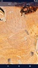 Wood Sawdust Live Wallpaper screenshot 2