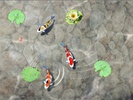 Feed the Koi fish Kids Game screenshot 3