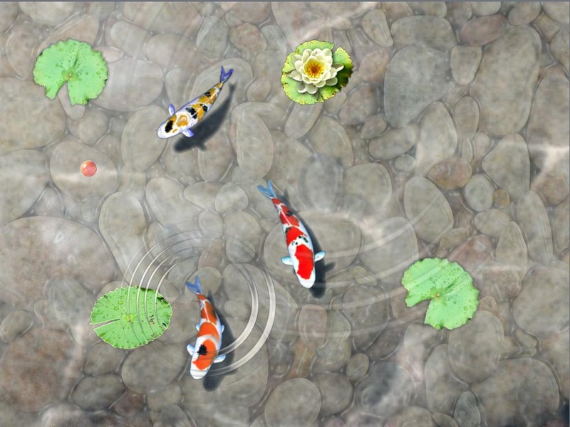 Feed the Koi fish Kids Game - Preview 3