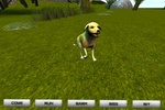 Pet Dog screenshot 1