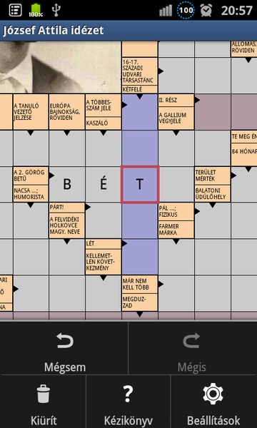 Real crossword (free) - Preview 17