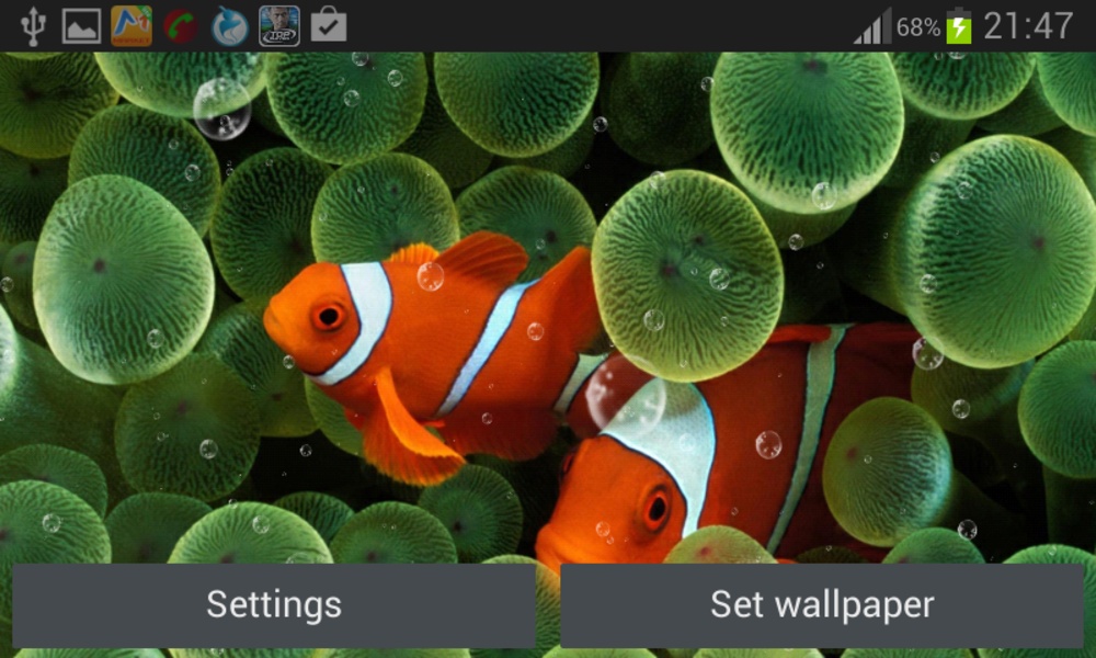 Coral Reef Live Wallpaper - Preview 7