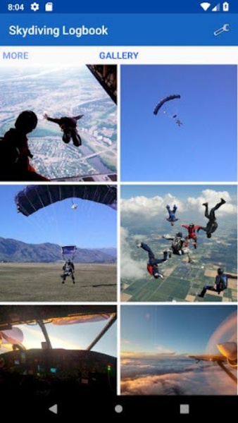 Skydiving Logbook - Preview 2