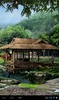 Japanese Garden 3D screenshot 5