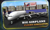 Big Airplane Flight Simulator screenshot 18