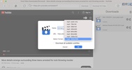 Total Video Downloader screenshot 2