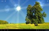 True Weather LWP Free screenshot 1