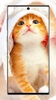 Cute Cat Wallpaper screenshot 14