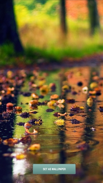 Monsoon HD Wallpapers - Preview 3