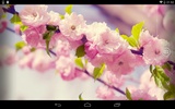 春天花朵 screenshot 1
