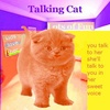 Cat Talking screenshot 3