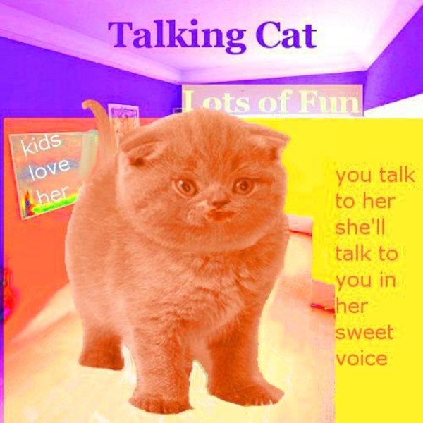 Cat Talking - Preview 3