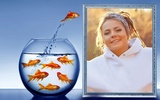 Aquarium Photo Frames screenshot 2