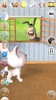 Talking 3 Friends Cats & Bunny screenshot 3