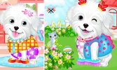 Fluffy Puppy Pet Spa And Care screenshot 4