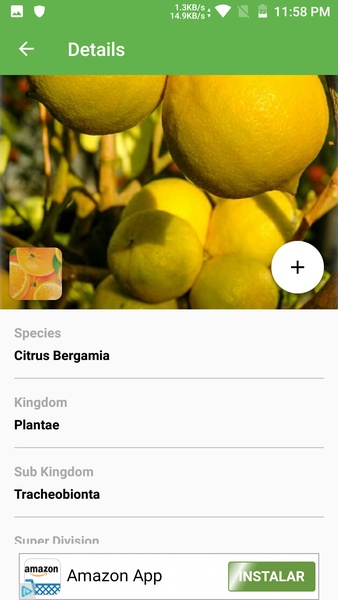 PlantSnap - Preview 6