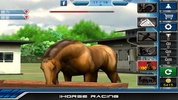 iHorse Racing screenshot 5