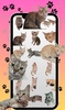 Cats Stickers screenshot 5