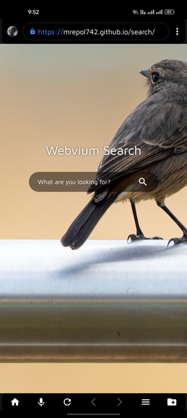 Webvium - Preview 3
