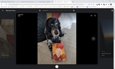 Google Chrome screenshot 14