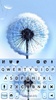 Dandelion Keyboard Background screenshot 1