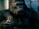 King Kong Salvapantallas screenshot 4