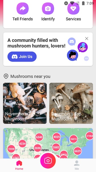 Picture Mushroom - Preview 5