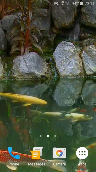 Koi Fish 3D - Preview 2
