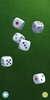 Real Dice screenshot 6