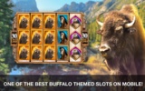 Golden Buffalo Slots screenshot 3