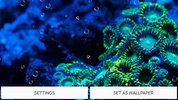 Aquarium Live Wallpaper screenshot 2