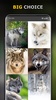 Wolf Wallpaper HD: Backgrounds screenshot 5