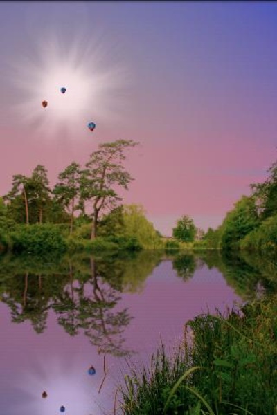 Forest Pond Free - Preview 8