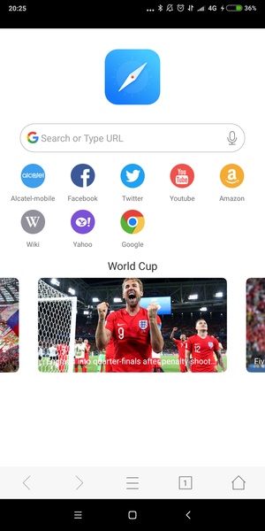 Mini Private Browser: Fast Search, Download, No Ad - Preview 7