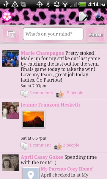 Pink Cheetah Theme - Preview 5