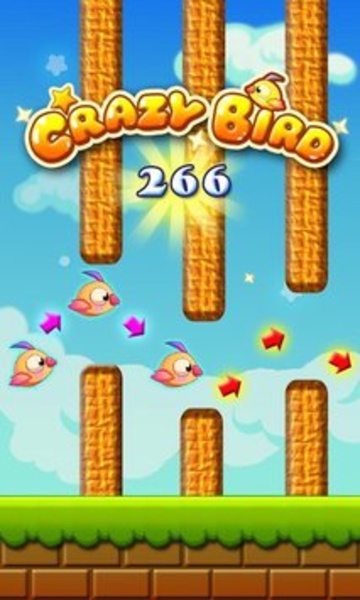 Crazy Bird - Preview 5