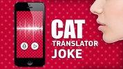 Cat translator joke screenshot 2