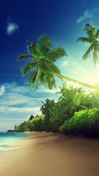 Beach Sunset Live Wallpaper - Preview 3