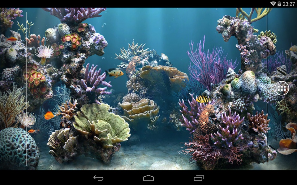 aquarium - Preview 2